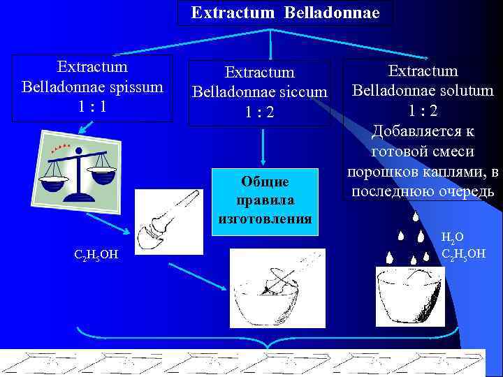 Extractum Вelladonnae Extractum Belladonnae spissum 1: 1 Extractum Belladonnae siccum 1: 2 Общие правила