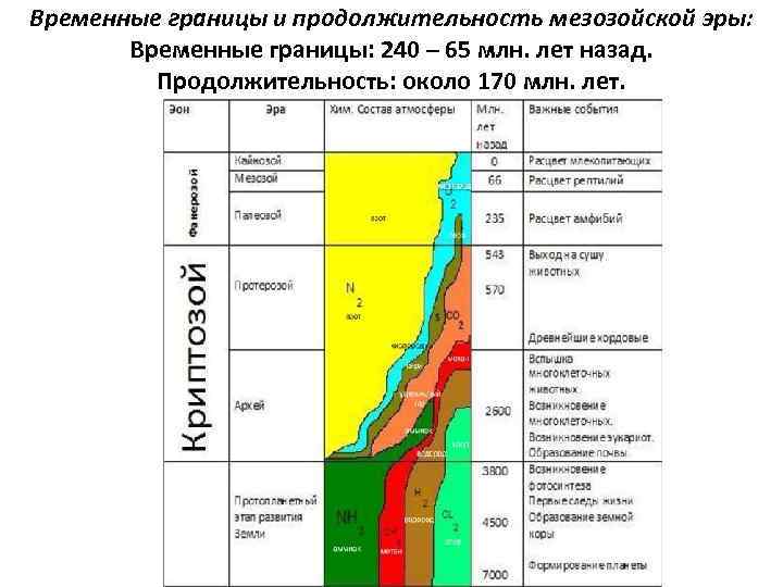 Временные границы и продолжительность мезозойской эры: Временные границы: 240 – 65 млн. лет назад.