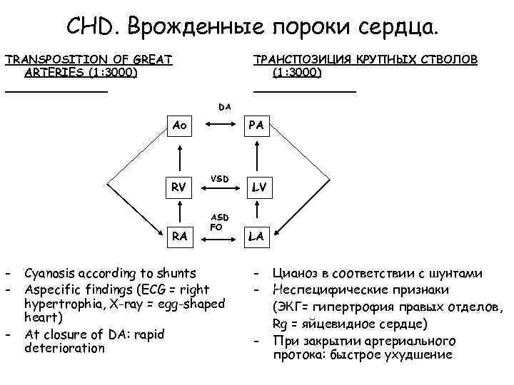 CHD. Врожденные пороки сердца. TRANSPOSITION OF GREAT ARTERIES (1: 3000) ТРАНСПОЗИЦИЯ КРУПНЫХ СТВОЛОВ (1: