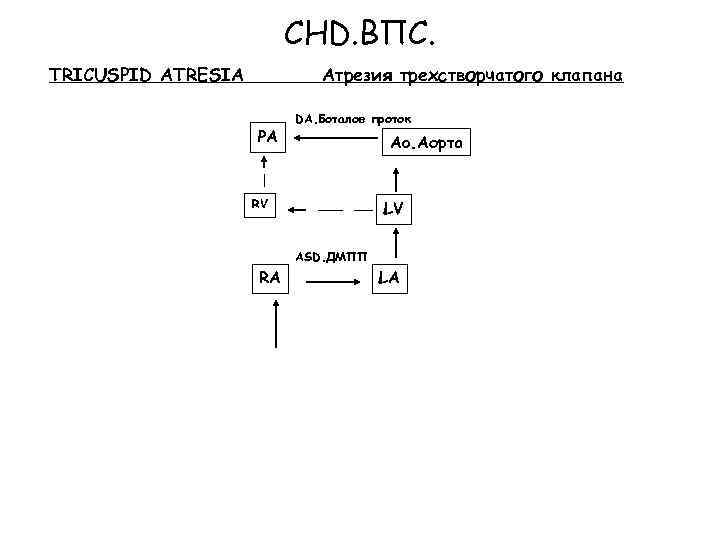 CHD. ВПС. TRICUSPID ATRESIA Атрезия трехстворчатого клапана PA DA. Боталов проток Ao. Аорта RV