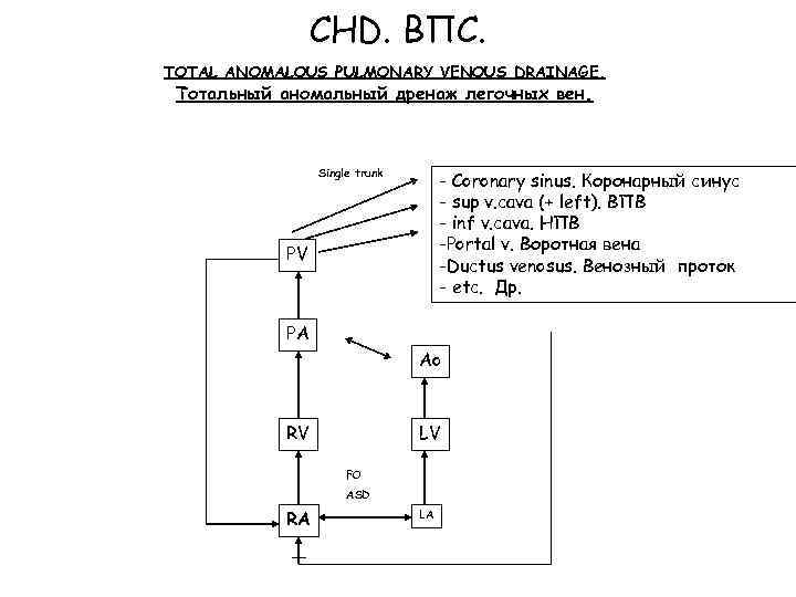 CHD. ВПС. TOTAL ANOMALOUS PULMONARY VENOUS DRAINAGE. Тотальный аномальный дренаж легочных вен. Single trunk