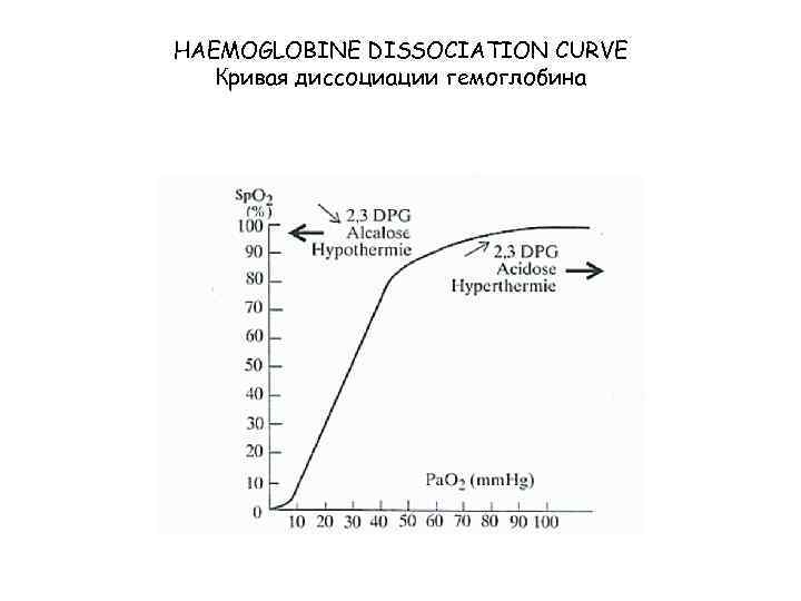 HAEMOGLOBINE DISSOCIATION CURVE Кривая диссоциации гемоглобина 