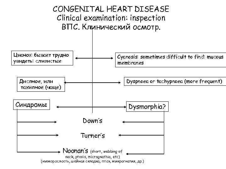 CONGENITAL HEART DISEASE Clinical examination: inspection ВПС. Клинический осмотр. Цианоз: бывает трудно увидеть: слизистые