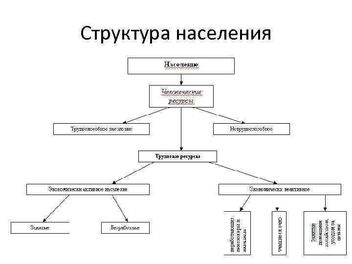 Структура населения 