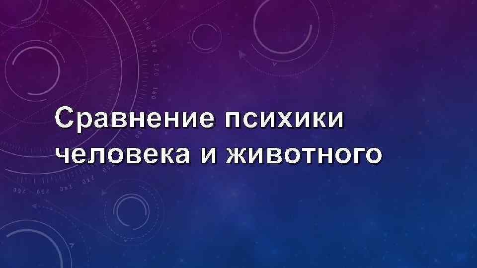 Сравнение психики человека и животного 