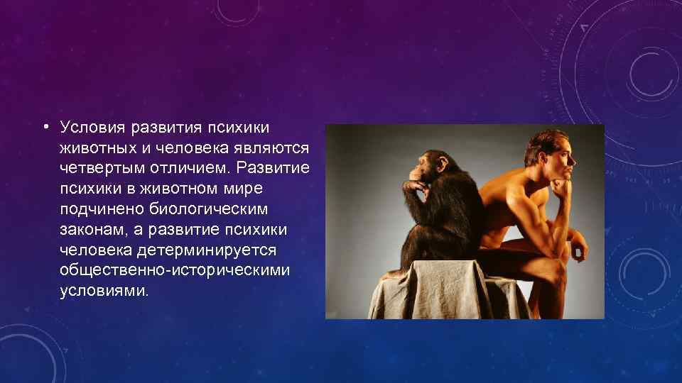  • Условия развития психики животных и человека являются четвертым отличием. Развитие психики в