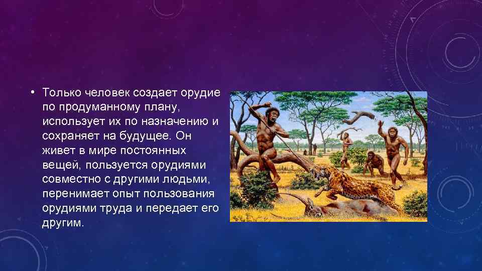  • Только человек создает орудие по продуманному плану, использует их по назначению и