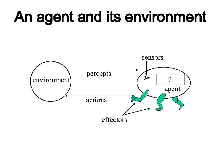 what is agent and non agent role