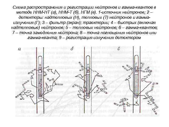 Схема распространения и регистрации нейтронов и гамма-квантов в методе ННМ-НТ (а), ННМ-Т (б), НГМ