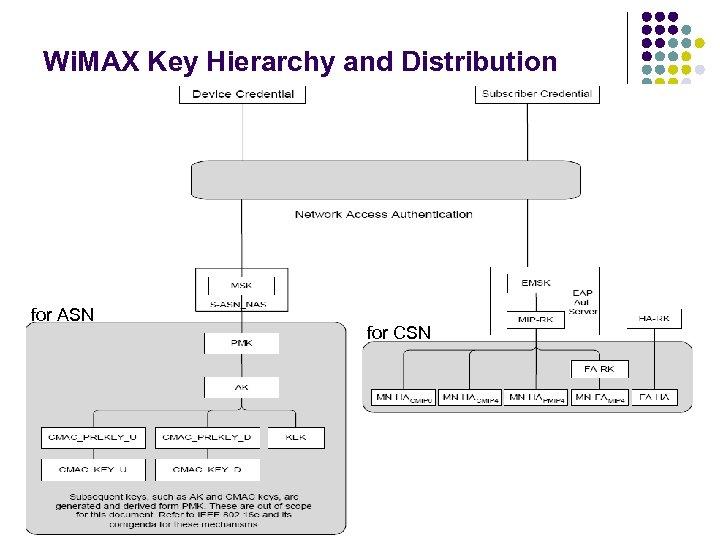 Wi. MAX Key Hierarchy and Distribution for ASN for CSN 