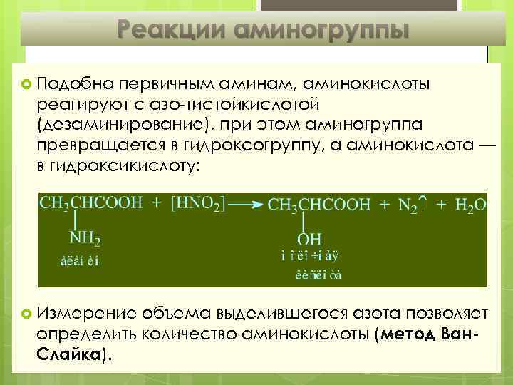 Реакции аминогруппы Подобно первичным аминам, аминокислоты реагируют с азо тистойкислотой (дезаминирование), при этом аминогруппа