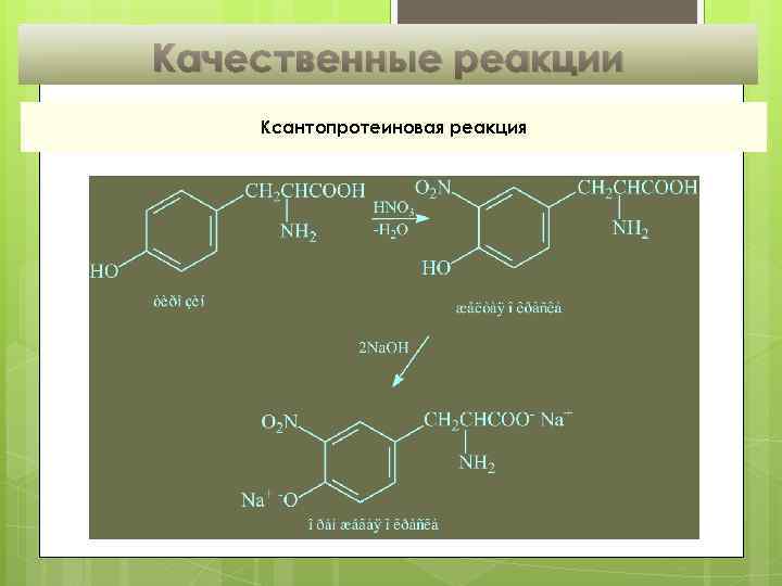 Качественные реакции Ксантопротеиновая реакция 