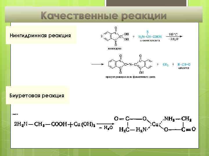 Качественные реакции Нингидринная реакция Биуретовая реакция 