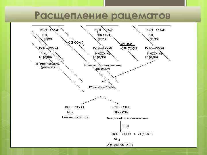 Расщепление рацематов 