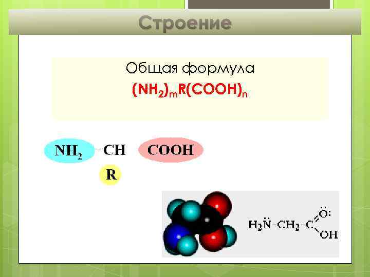 Строение Общая формула (NH 2)m. R(COOH)n 