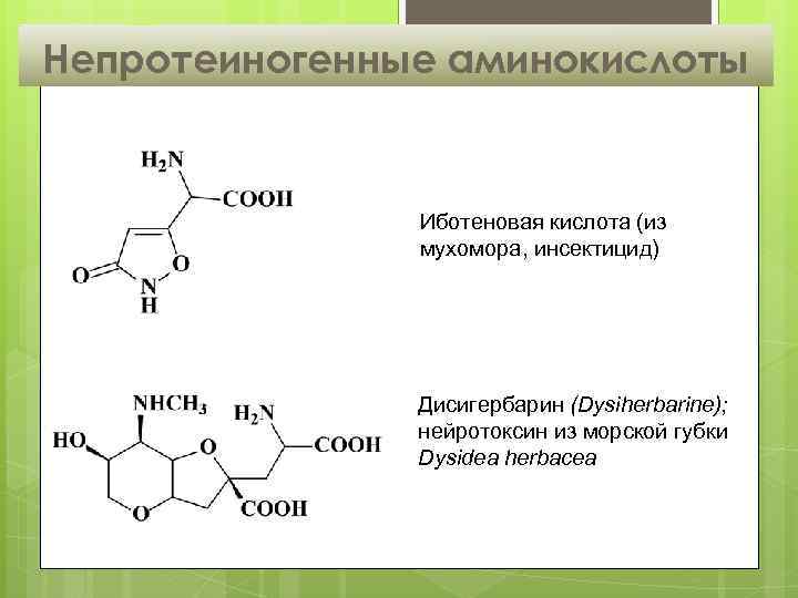 Непротеиногенные аминокислоты Иботеновая кислота (из мухомора, инсектицид) Дисигербарин (Dysiherbarine); нейротоксин из морской губки Dysidea