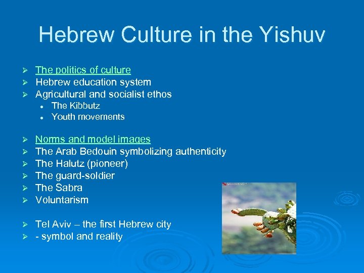 Hebrew Culture in the Yishuv Ø Ø Ø The politics of culture Hebrew education