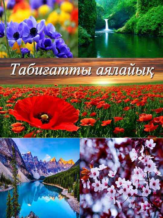 Табиғатты аялайық 