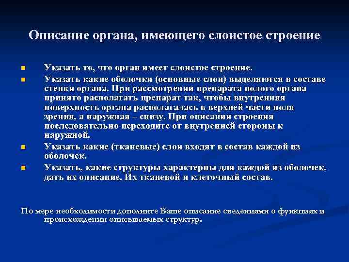 Описание органа, имеющего слоистое строение n n Указать то, что орган имеет слоистое строение.