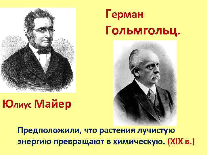 Герман Гольмгольц. Юлиус Майер Предположили, что растения лучистую энергию превращают в химическую. (XIX в.