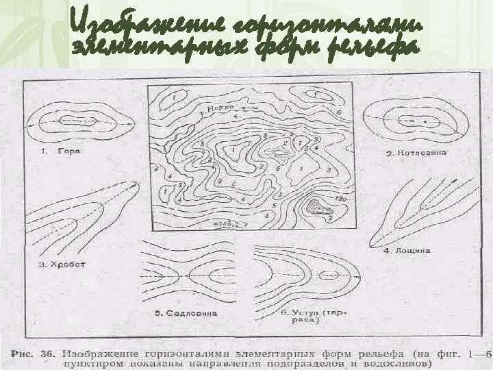 Изображение горизонталями элементарных форм рельефа 