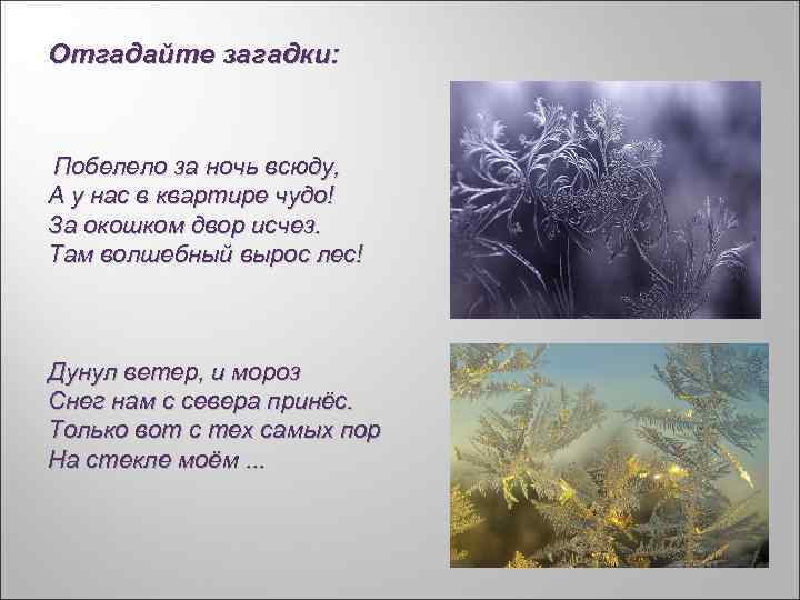 Отгадайте загадки: Побелело за ночь всюду, А у нас в квартире чудо! За окошком