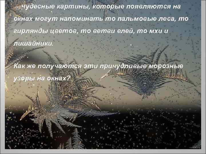  Чудесные картины, которые появляются на окнах могут напоминать то пальмовые леса, то гирлянды