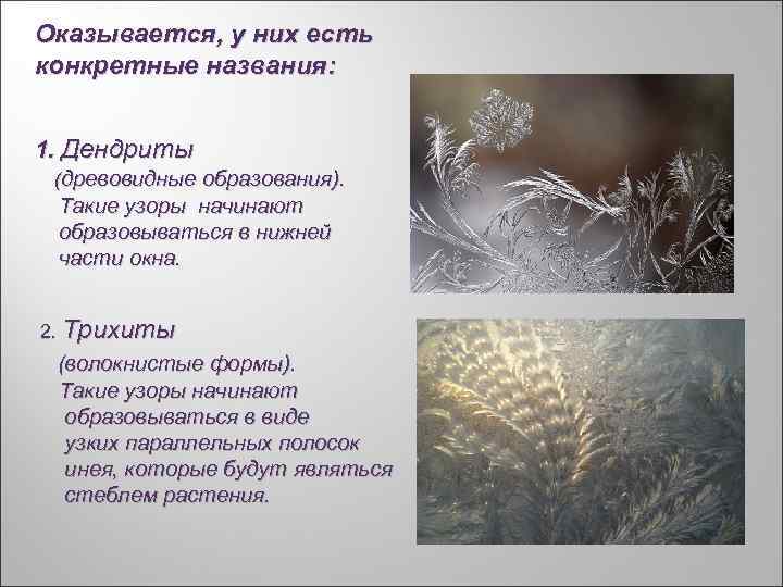 Оказывается, у них есть конкретные названия: 1. Дендриты (древовидные образования). Такие узоры начинают образовываться