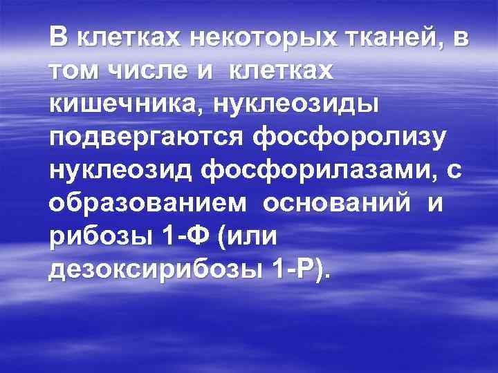 В клетках некоторых тканей, в том числе и клетках кишечника, нуклеозиды подвергаются фосфоролизу нуклеозид