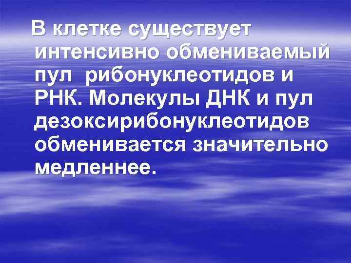 В клетке существует интенсивно обмениваемый пул рибонуклеотидов и РНК. Молекулы ДНК и пул дезоксирибонуклеотидов