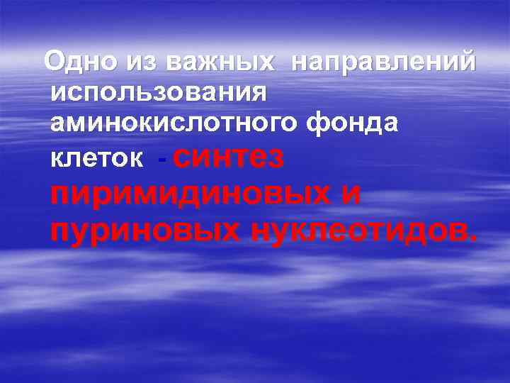 Одно из важных направлений использования аминокислотного фонда клеток - синтез пиримидиновых и пуриновых нуклеотидов.