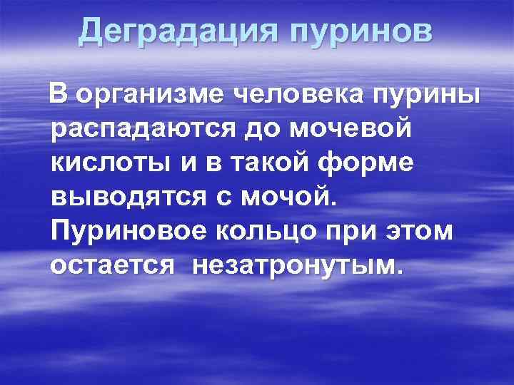 Деградация пуринов В организме человека пурины распадаются до мочевой кислоты и в такой форме