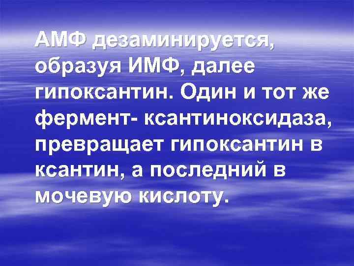 АМФ дезаминируется, образуя ИМФ, далее гипоксантин. Один и тот же фермент- ксантиноксидаза, превращает гипоксантин