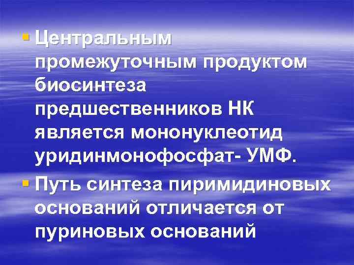 § Центральным промежуточным продуктом биосинтеза предшественников НК является мононуклеотид уридинмонофосфат- УМФ. § Путь синтеза