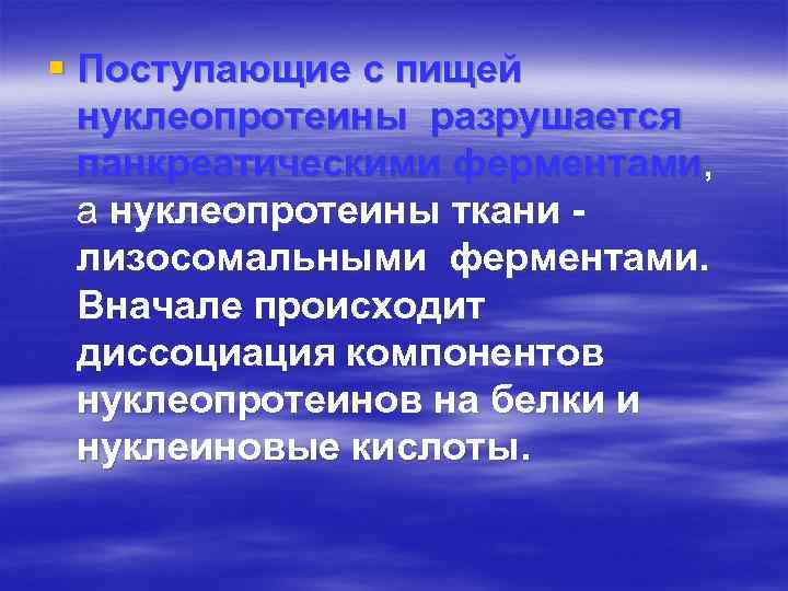 § Поступающие с пищей нуклеопротеины разрушается панкреатическими ферментами, а нуклеопротеины ткани лизосомальными ферментами. Вначале
