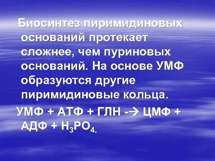 Биосинтез пиримидиновых оснований протекает сложнее, чем пуриновых оснований. На основе УМФ образуются другие пиримидиновые