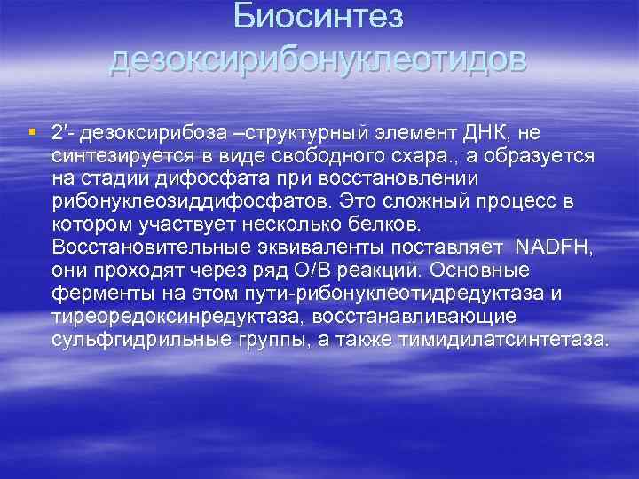 Биосинтез дезоксирибонуклеотидов § 2′- дезоксирибоза –структурный элемент ДНК, не синтезируется в виде свободного схара.