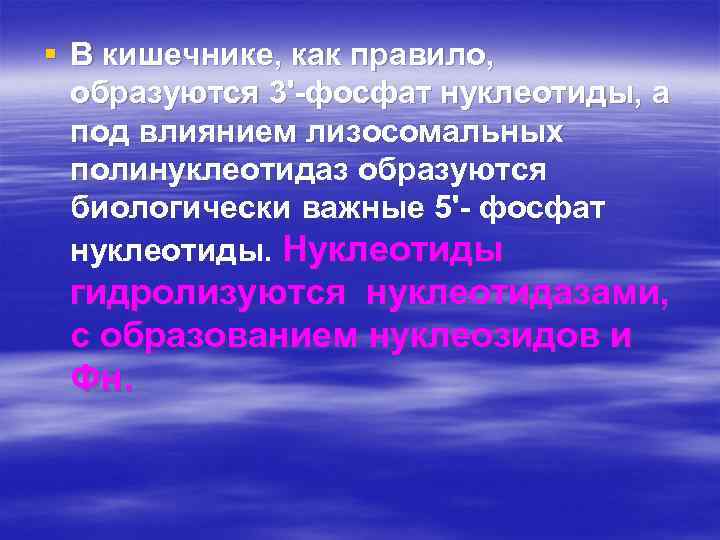 § В кишечнике, как правило, образуются 3'-фосфат нуклеотиды, а под влиянием лизосомальных полинуклеотидаз образуются