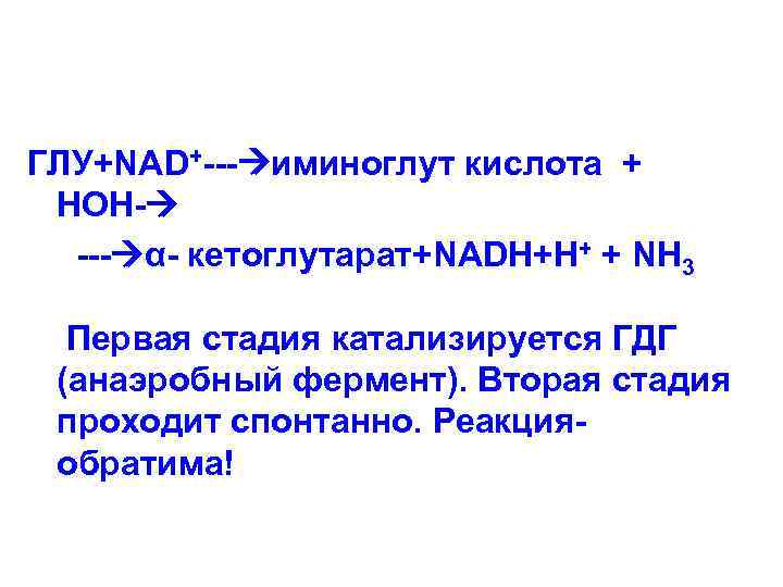 ГЛУ+NAD+--- иминоглут кислота + НОН- --- α- кетоглутарат+NADH+H+ + NH 3 Первая стадия катализируется
