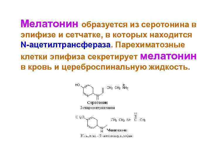  Мелатонин образуется из серотонина в эпифизе и сетчатке, в которых находится N-ацетилтрансфераза. Парехиматозные