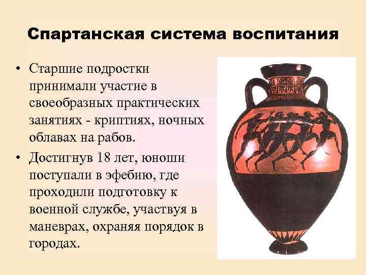 Спартанская система воспитания • Старшие подростки принимали участие в своеобразных практических занятиях - криптиях,