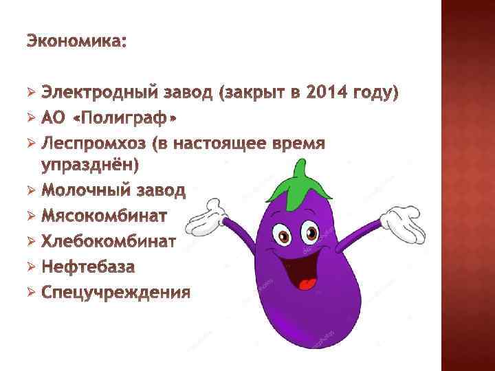 Экономика: Электродный завод (закрыт в 2014 году) Ø АО «Полиграф» Ø Леспромхоз (в настоящее