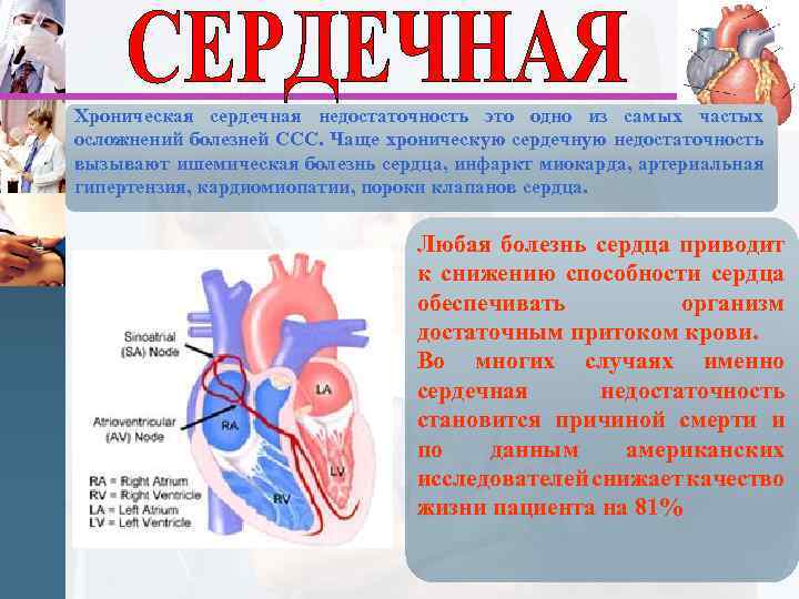 Профилактика сердечно сосудистой системы презентация