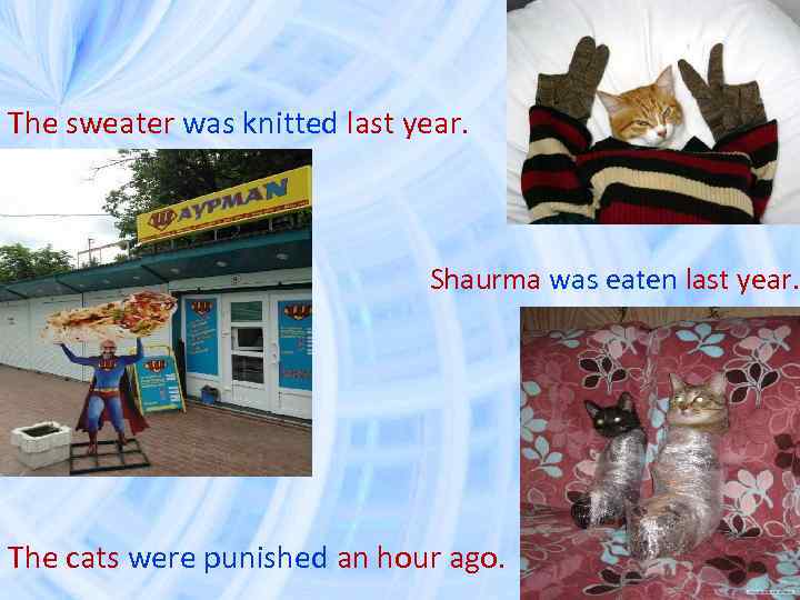 The sweater was knitted last year. Shaurma was eaten last year. The cats were