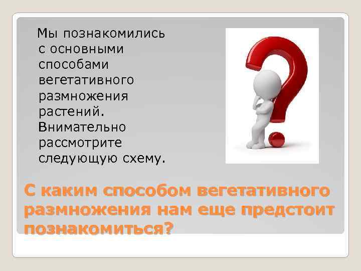 Мы познакомились с основными способами вегетативного размножения растений. Внимательно рассмотрите следующую схему. С каким