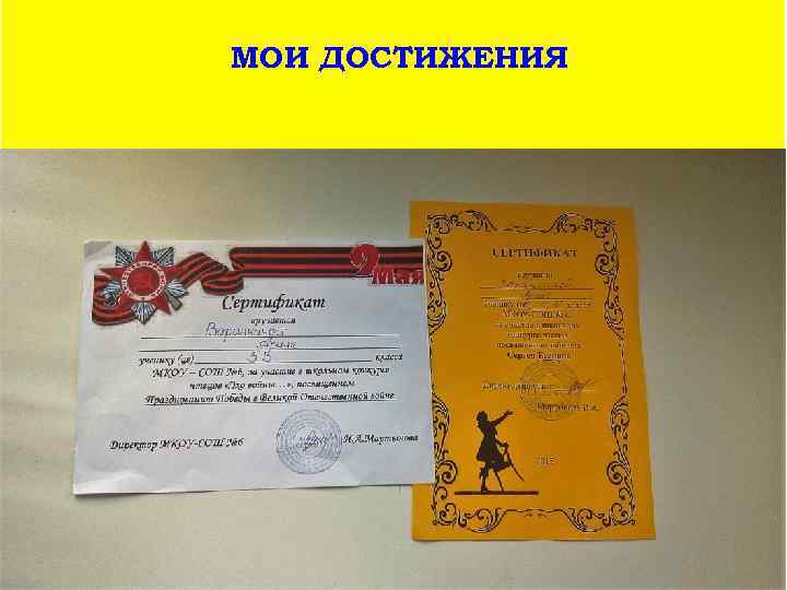 МОИ ДОСТИЖЕНИЯ 