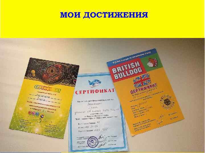 МОИ ДОСТИЖЕНИЯ 