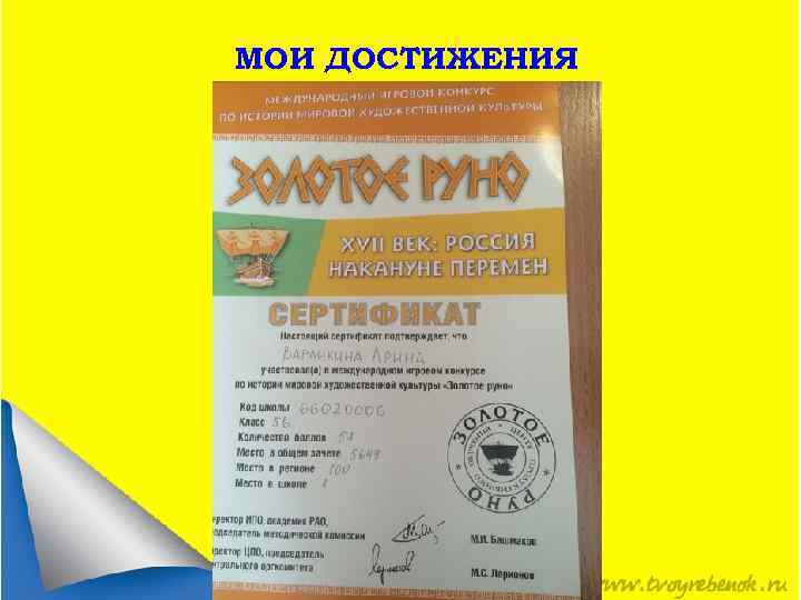 МОИ ДОСТИЖЕНИЯ 