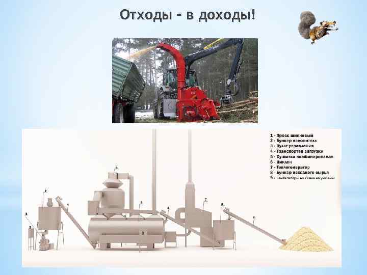 Отходы – в доходы! 