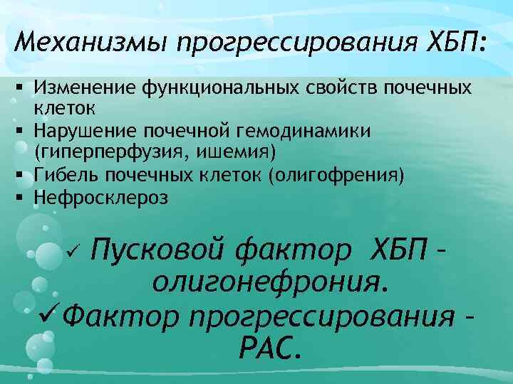 Механизмы прогрессирования ХБП: § Изменение функциональных свойств почечных клеток § Нарушение почечной гемодинамики (гиперперфузия,